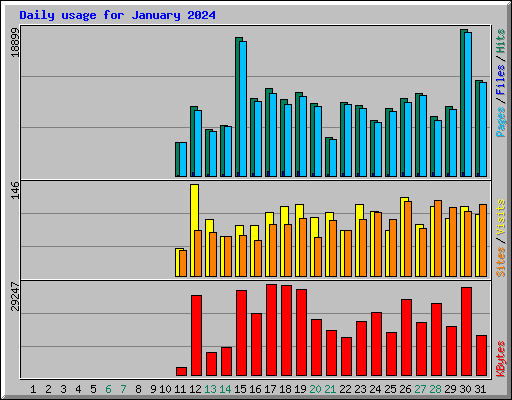 Daily usage for January 2024