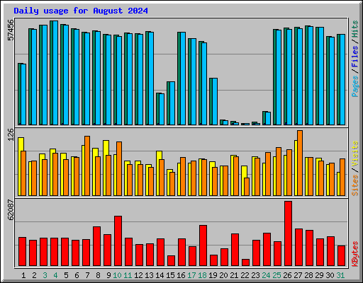 Daily usage for August 2024