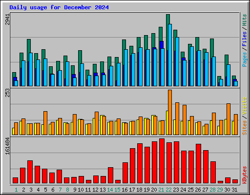 Daily usage for December 2024