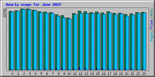 Hourly usage for June 2022