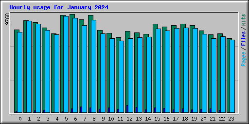 Hourly usage for January 2024