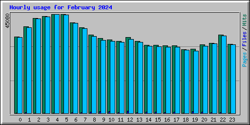 Hourly usage for February 2024