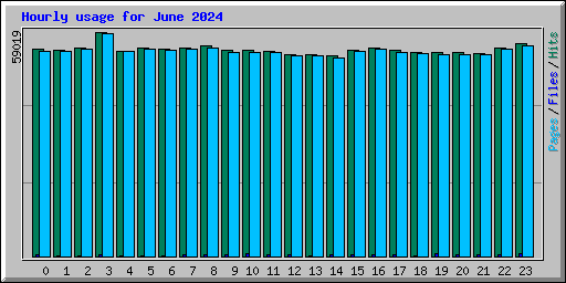 Hourly usage for June 2024