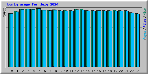 Hourly usage for July 2024