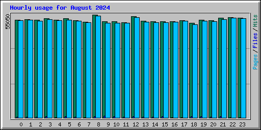 Hourly usage for August 2024