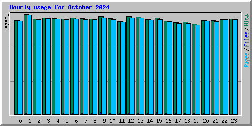 Hourly usage for October 2024