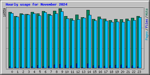 Hourly usage for November 2024