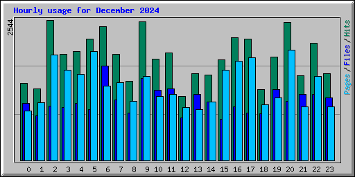 Hourly usage for December 2024