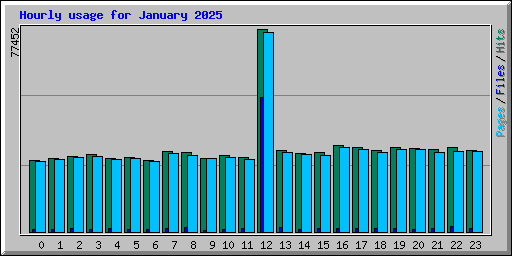 Hourly usage for January 2025