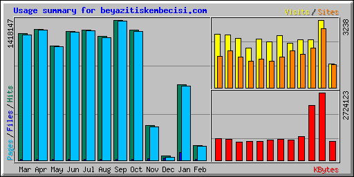 Usage summary for beyazitiskembecisi.com